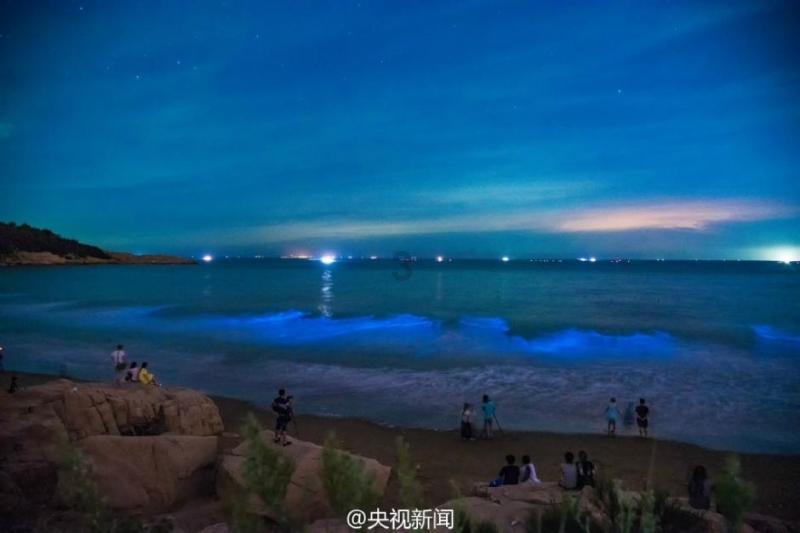福建省文联第八届全委会第三次会议召开
