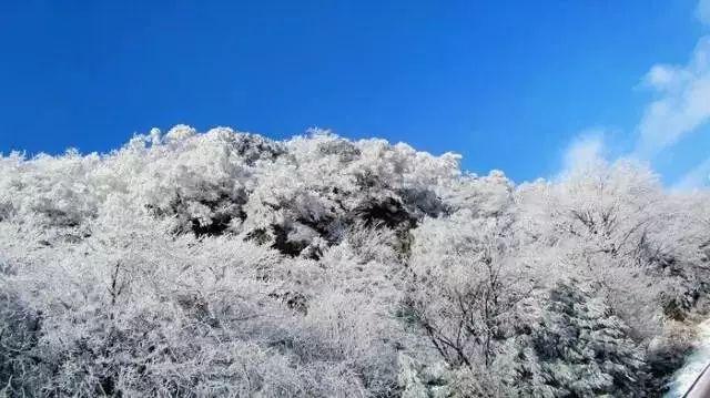 空军战斗
