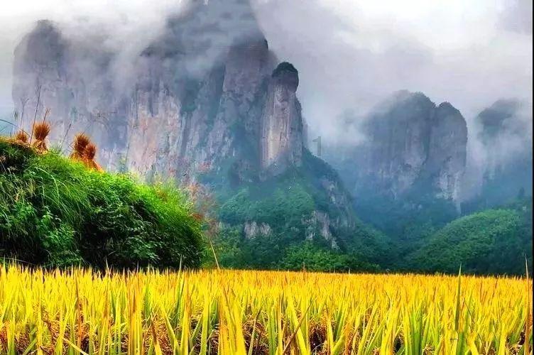 剑刃风暴
