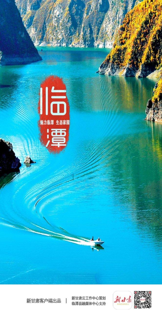 创作猫