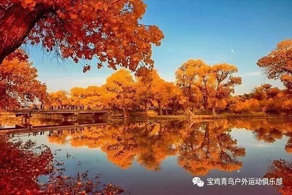 康诺斯全球盘中异动 股价大涨5.05%报9.55美元
