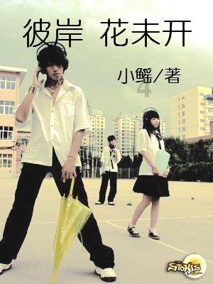 游戏开发者