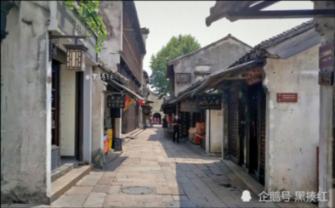 青椒皮蛋怎么做好吃?-知识星球平台