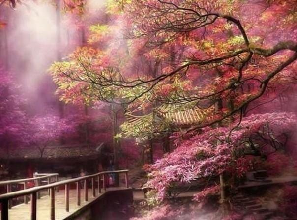 舞者芭比